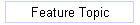 Feature Topic