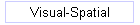 Visual-Spatial
