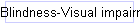 Blindness-Visual impairments