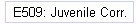 E509: Juvenile Corr.