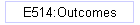 E514:Outcomes