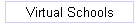 Virtual Schools