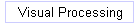 Visual Processing